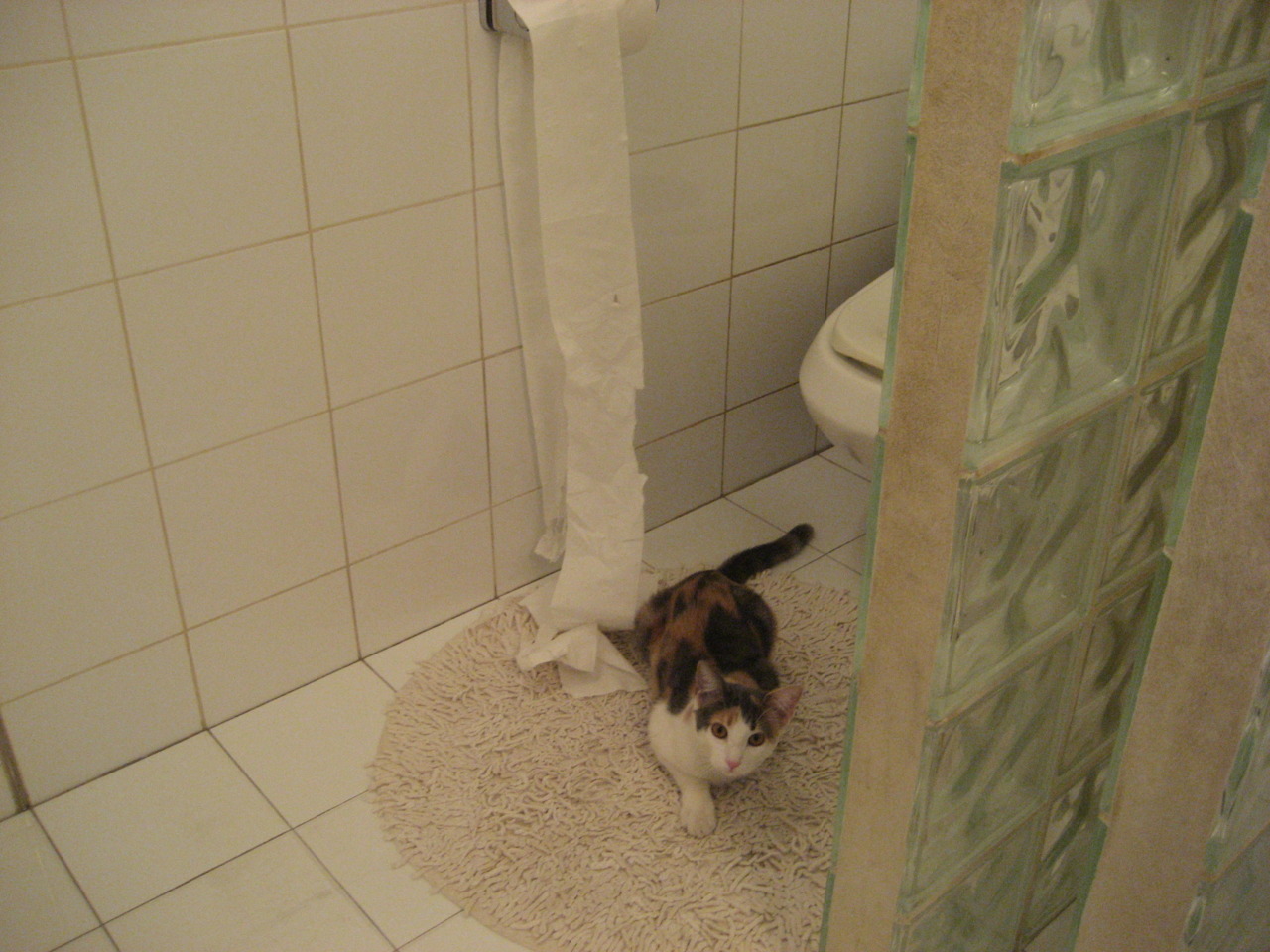 伊朗足球队自带暖炉进场，成冬奥最“热”球队，伊朗足球队主场