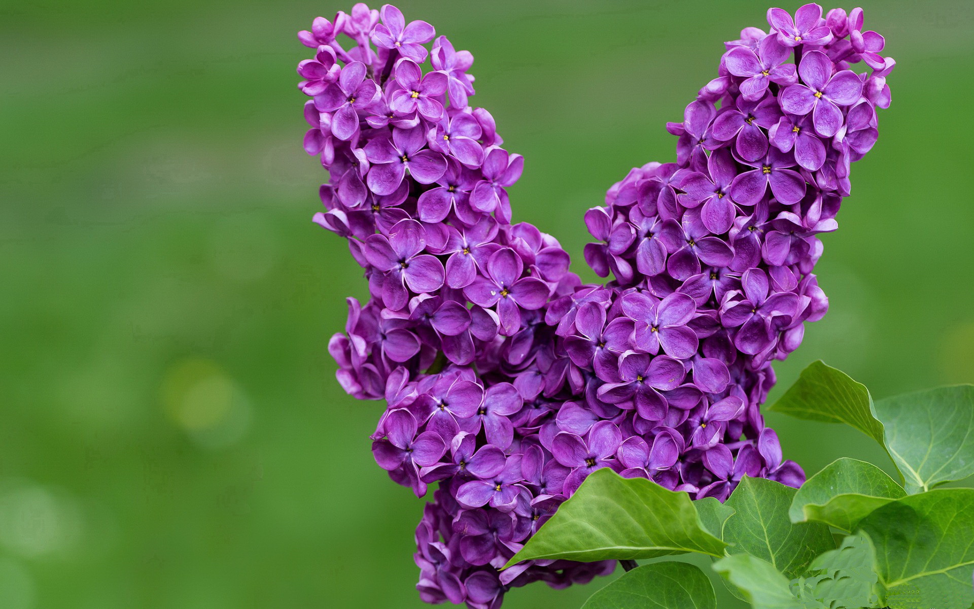 开云体育APP下载-“足协公布2025年度最佳球员名单”，足坛20年最佳