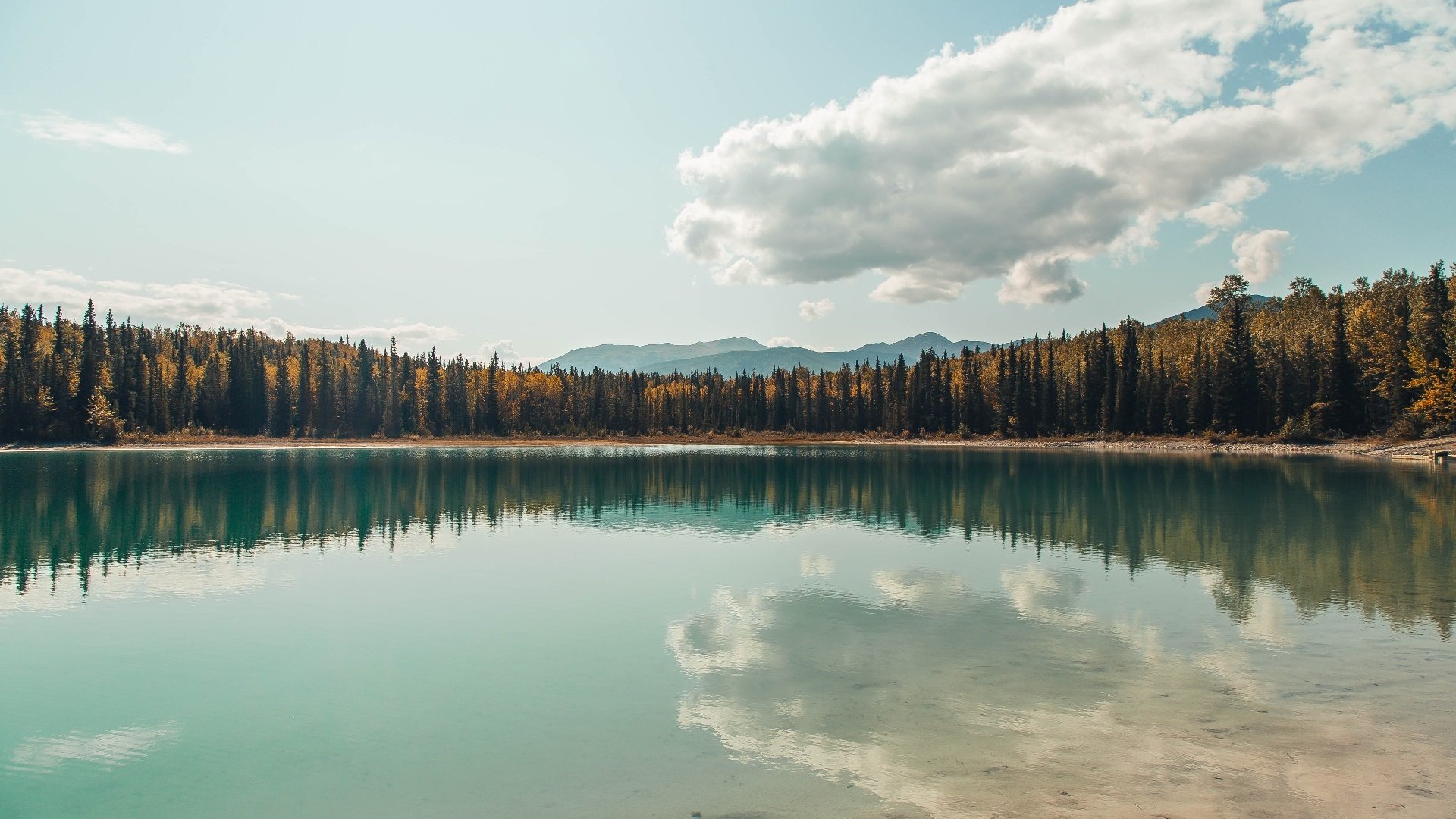 《电竞职业新人：他们如何突破成长的瓶颈》，电竞选手如何规划自己的职业