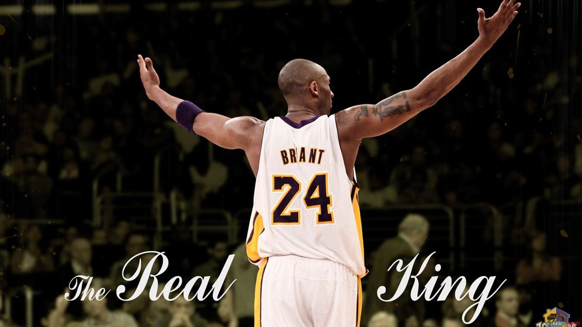 开云入口-魔术新援状态回暖表现全面，最新魔术